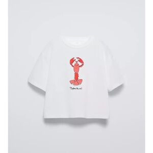 Zara kids cropped tee. 11-12 yrs